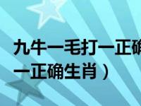 九牛一毛打一正确生肖百度汉语（九牛一毛打一正确生肖）