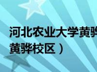 河北农业大学黄骅校区是几本（河北农业大学黄骅校区）