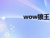 wow狼王（wow狼人坐骑）