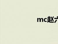 mc赵六六（mc赵四）