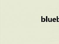 blueberry（blue）