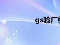 gs验厂标准（gsv验厂）