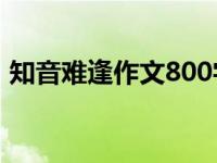 知音难逢作文800字高中议论文（知音难逢）