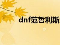 dnf范哲利斯加点（dnf范哲利斯）