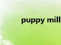 puppy mill翻译（puppy mill）