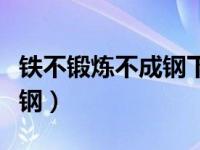 铁不锻炼不成钢下一句歇后语（铁不锻炼不成钢）