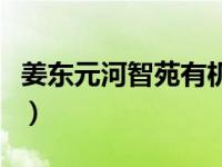 姜东元河智苑有机会再合作吗（姜东元河智苑）