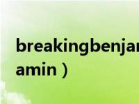 breakingbenjamin演唱会（breakingbenjamin）