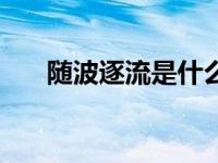 随波逐流是什么歌曲（随波逐流歌词）