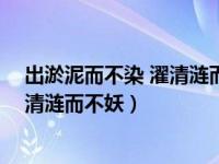 出淤泥而不染 濯清涟而不妖说的什么花（出淤泥而不染 濯清涟而不妖）