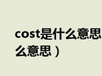 cost是什么意思中文翻译怎么读（cost是什么意思）