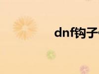 dnf钩子代码（dnf钩子）