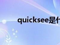 quicksee是什么软件（quickpar）