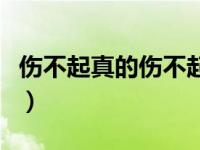 伤不起真的伤不起完整版（伤不起真的伤不起）