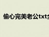 偷心完美老公txt全集下载（偷心完美老公）