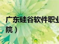 广东硅谷软件职业学院官网（广东硅谷软件学院）