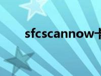 sfcscannow卡住了（sfcscannow）