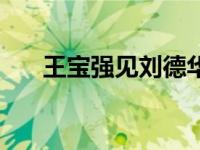 王宝强见刘德华（刘德华警告王宝强）