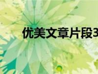 优美文章片段300字（优美文章片段）