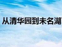 从清华园到未名湖百科（从清华园到未名湖）