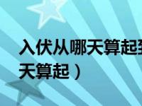 入伏从哪天算起到哪天结束2020（入伏从哪天算起）