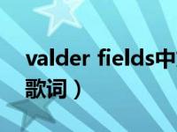 valder fields中文翻译（valder fields中文歌词）