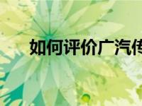 如何评价广汽传祺及广汽传祺的动机？