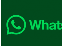 WhatsApp 将 Material You UI 元素引入 Android 应用