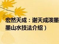 宏然天成：谢天成泼墨山水技法（关于宏然天成：谢天成泼墨山水技法介绍）