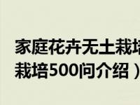 家庭花卉无土栽培500问（关于家庭花卉无土栽培500问介绍）