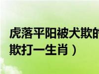 虎落平阳被犬欺的生肖是什么（虎落平阳被犬欺打一生肖）