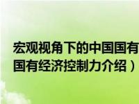 宏观视角下的中国国有经济控制力（关于宏观视角下的中国国有经济控制力介绍）