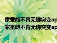 家蚕雌不育无脚突变ap的分子解析及其基因调控研究（关于家蚕雌不育无脚突变ap的分子解析及其基因调控研究介绍）