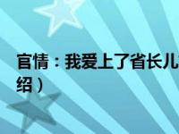 官情：我爱上了省长儿媳（关于官情：我爱上了省长儿媳介绍）