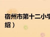 宿州市第十二小学（关于宿州市第十二小学介绍）