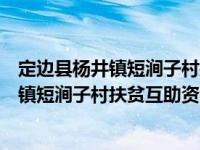 定边县杨井镇短涧子村扶贫互助资金协会（关于定边县杨井镇短涧子村扶贫互助资金协会介绍）