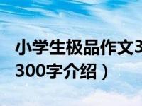 小学生极品作文300字（关于小学生极品作文300字介绍）