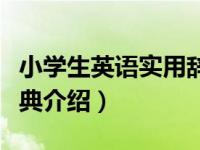 小学生英语实用辞典（关于小学生英语实用辞典介绍）