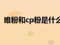 唯粉和cp粉是什么意思（CP粉是什么意思）