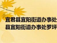 宜君县宜阳街道办事处罗坪村玉米专业技术协会（关于宜君县宜阳街道办事处罗坪村玉米专业技术协会介绍）