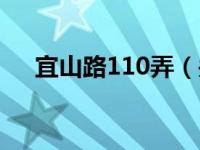 宜山路110弄（关于宜山路110弄介绍）