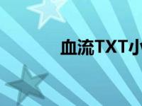 血流TXT小说下载（血流txt）