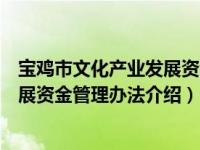 宝鸡市文化产业发展资金管理办法（关于宝鸡市文化产业发展资金管理办法介绍）