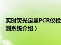 实时荧光定量PCR仪检测系统（关于实时荧光定量PCR仪检测系统介绍）