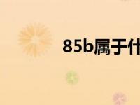 85b属于什么档次（85bbb）