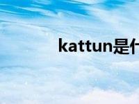 kattun是什么面料（kattun）