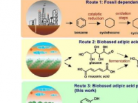 研究团队开发生物基尼龙工艺