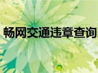 畅网交通违章查询系统（畅网交通违章查询）