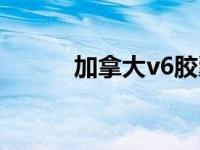 加拿大v6胶囊批发（加拿大v6）