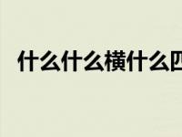 什么什么横什么四字词（什么什么横什么）